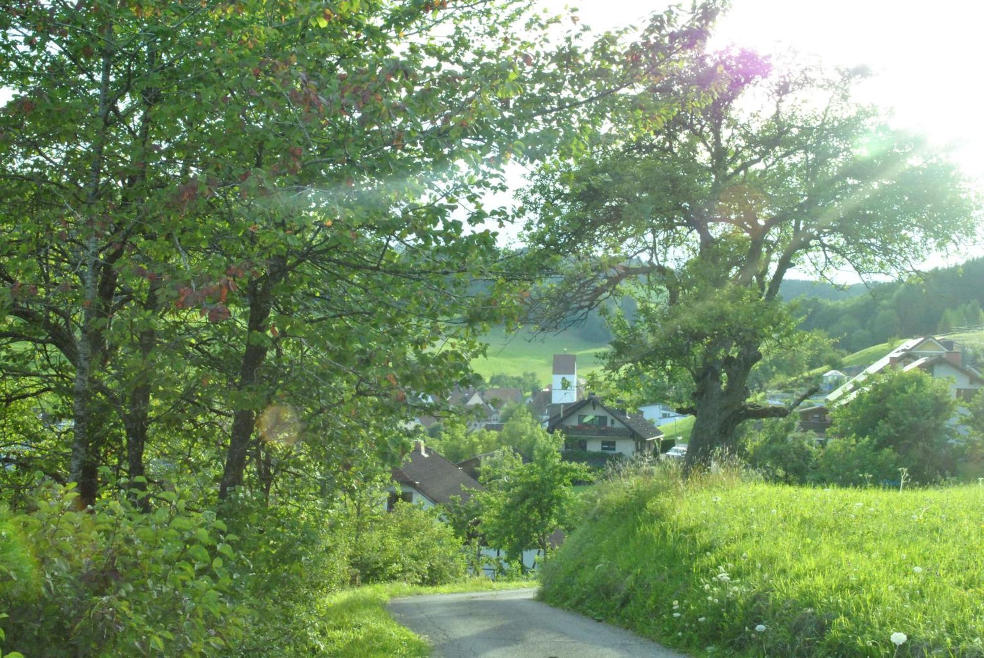 Gasthaus Kranz Lausheim エクステリア 写真
