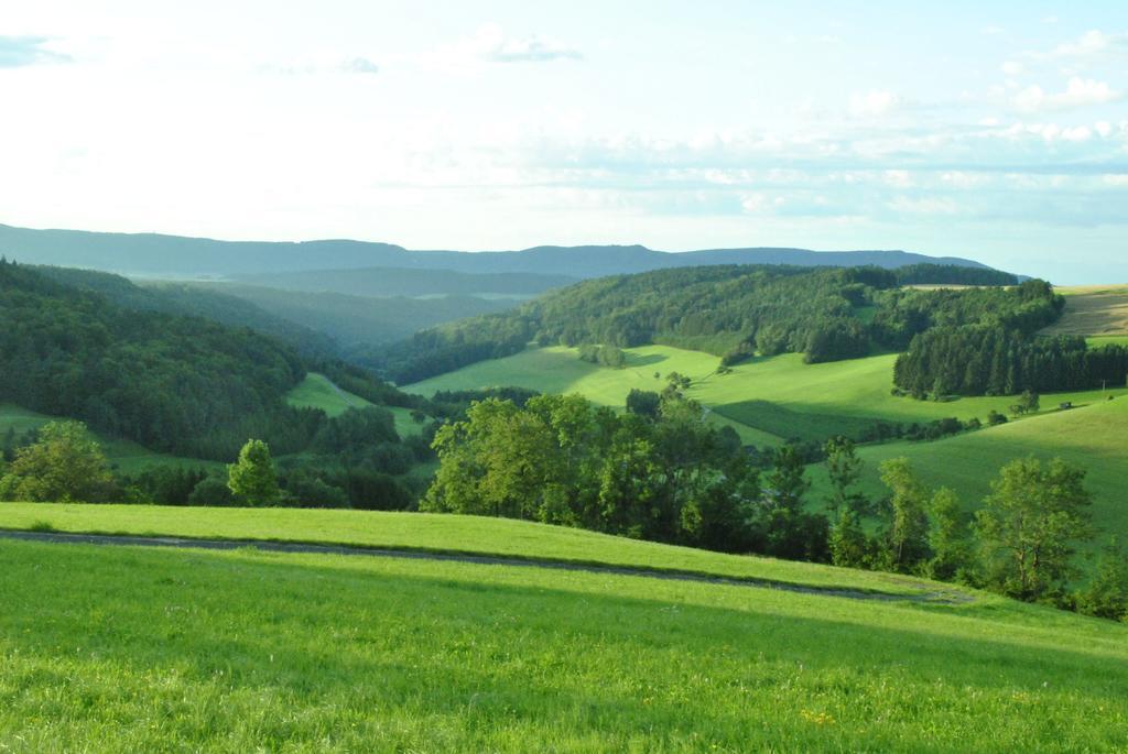 Gasthaus Kranz Lausheim エクステリア 写真