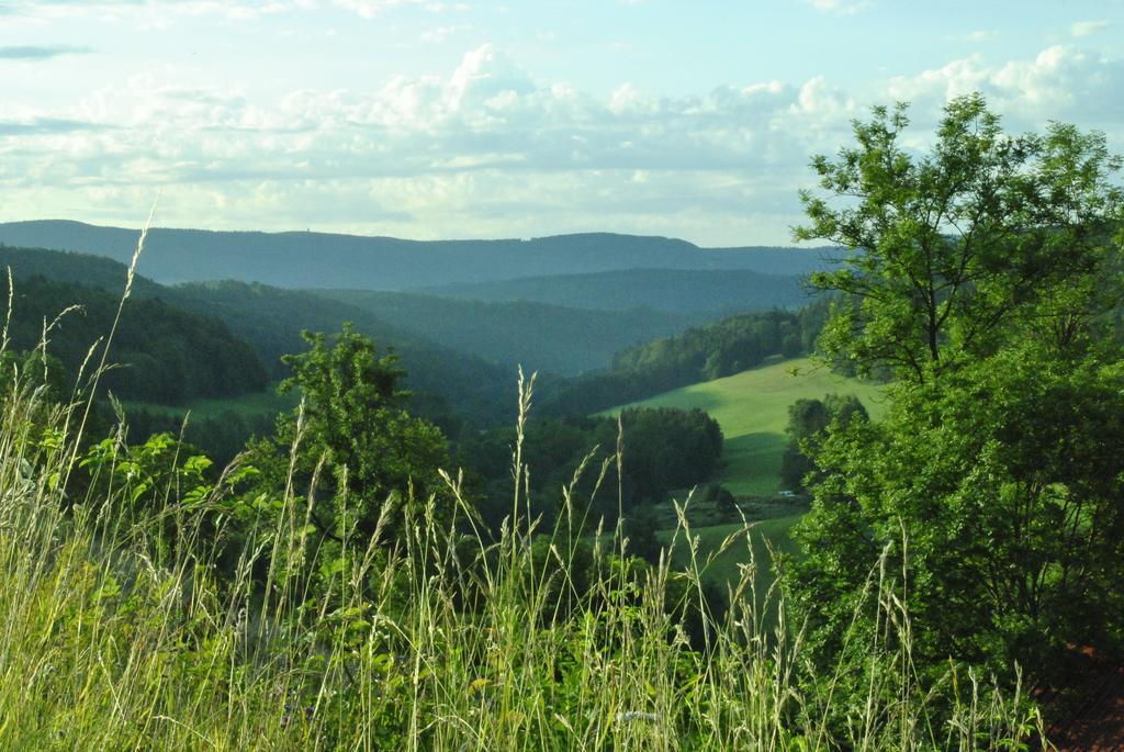 Gasthaus Kranz Lausheim エクステリア 写真